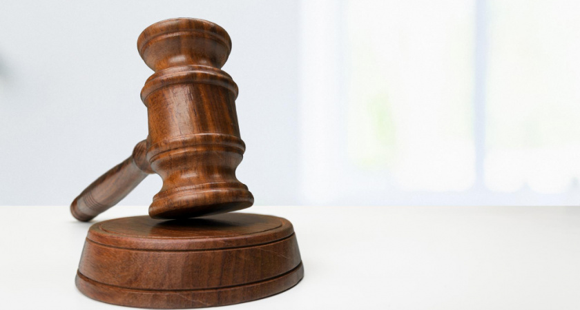 В Вольгинском пытаются отменить решение тайных земельных торгов 