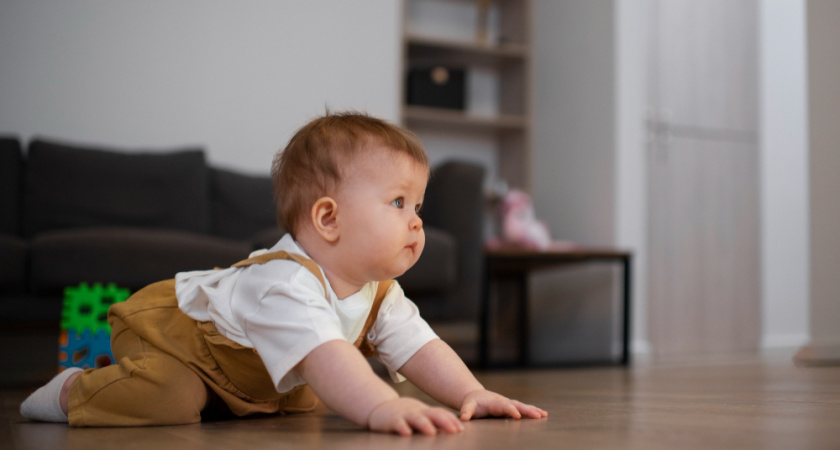 Во Владимире 7 декабря выберут самого быстрого ползунка