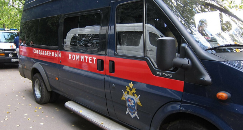 Травмой ребенка после квеста в Гусь-Хрустальном занялся Следственный комитет