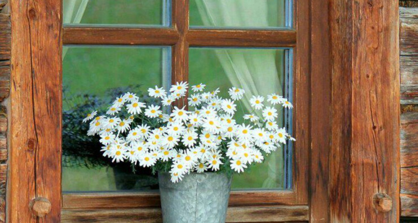 Хитрость для отпугивания воров на даче: почему я кладу ложку на подоконник