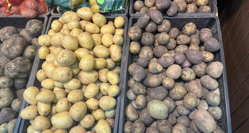 Чтобы овощи и фрукты лежали до весны: делюсь 8 секретами правильного хранения