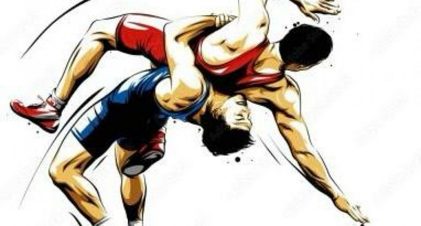 Турнир в Гусь-Хрустальном - смотр перспективных атлетов