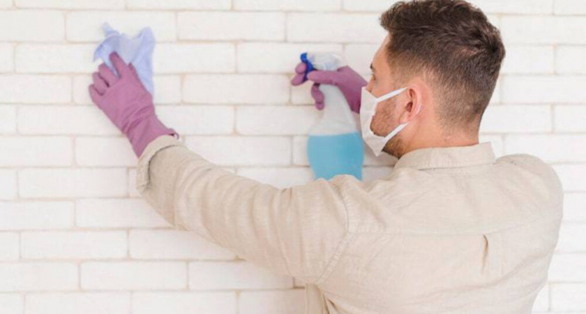 Избавилась от плесени на стенах за один день: помогли всего три дешевые средства из аптеки