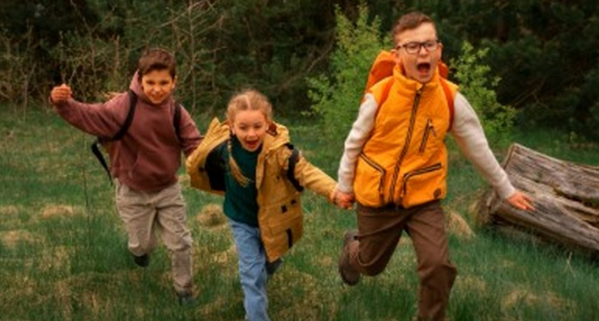 Под нажимом прокуратуры многодетной семье во Владимире дали пригодный участок