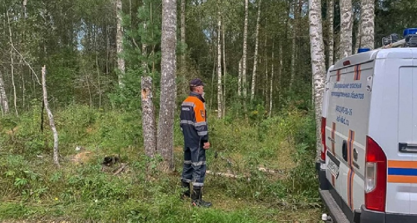 Газовики Владимирской области отреагировали на 180 аварийных вызовов за неделю