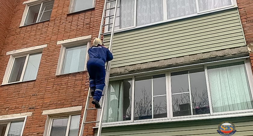 Спасатели в Камешково забирались в квартиру через балкон для помощи пенсионерке