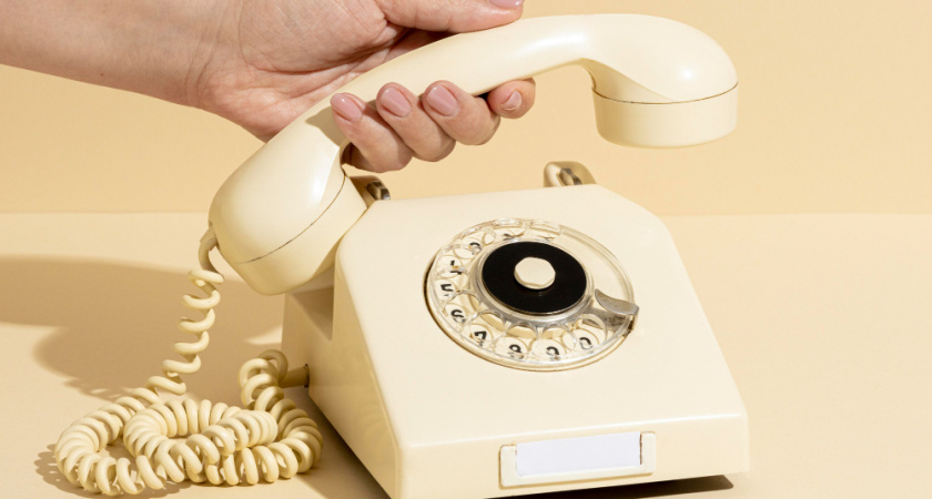 Владимирцы могут позвонить в Роспотребнадзор по вопросу новогодних подарков