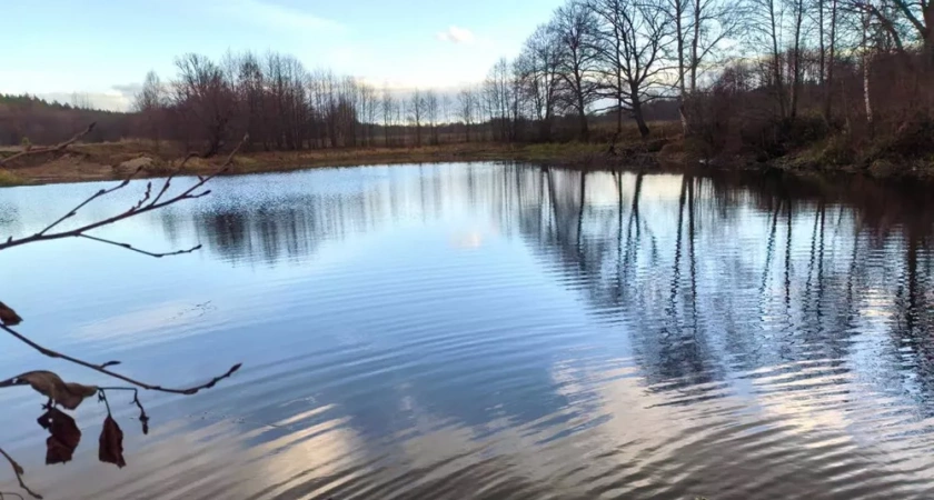 В Камешковском районе возбудили уголовное дело после обнаружения браконьерства
