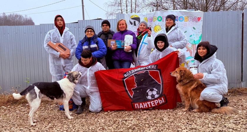 Футболисты клуба «Владимирские пантеры» навестили животных в приюте 