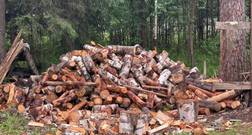 Какие дрова лучше для бани, а какие для камина: как не ошибиться с выбором