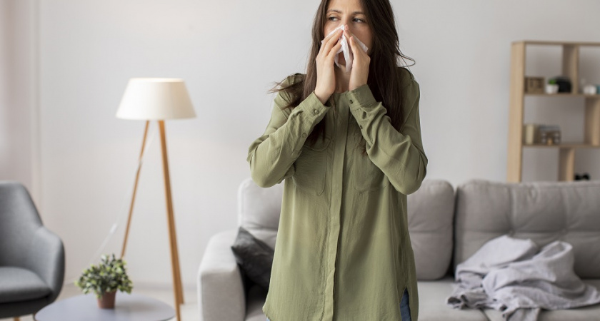 Как убрать затхлый запах в доме: простые способы 