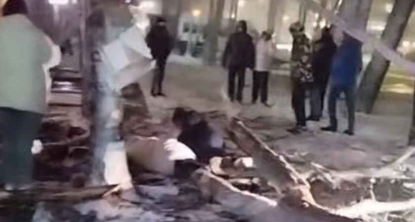 В Гусь-Хрустальном упавшее аварийное дерево придавило двух прохожих 