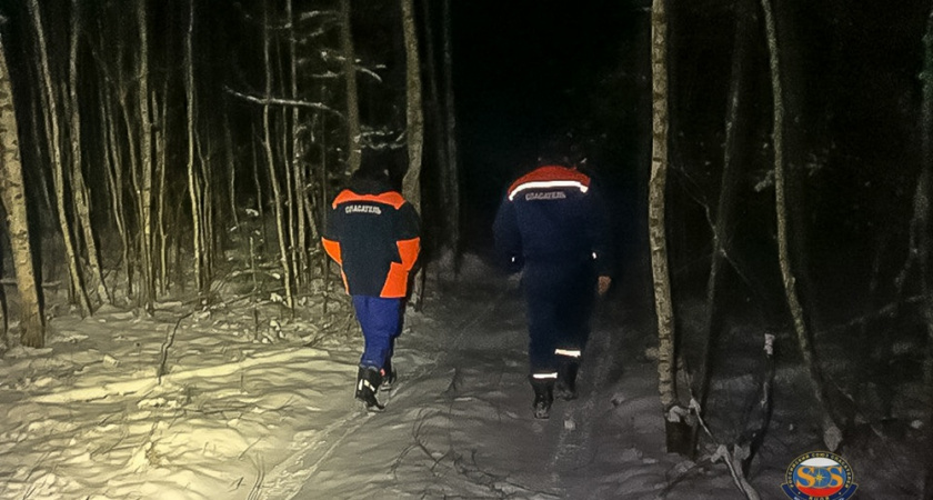 Потерявшегося рыбака нашли и эвакуировали на носилках из леса под Камешково