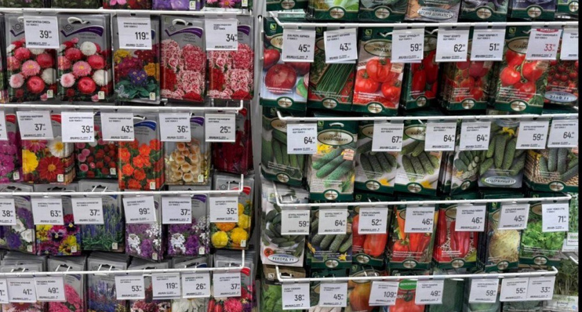 Как не тратить деньги на лишние семена: делюсь точным расчётом для огорода и теплицы