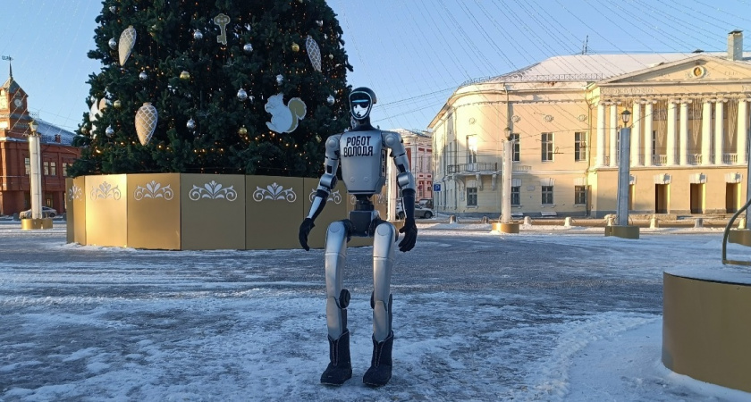 У елки на Соборной прогулялся железный Володя