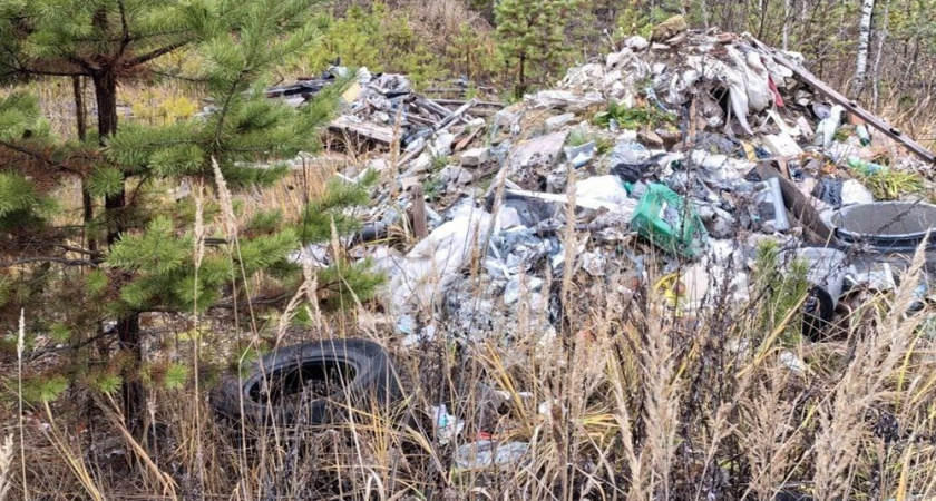 В Селивановском районе прокуратура требует убрать огромную свалку в лесу