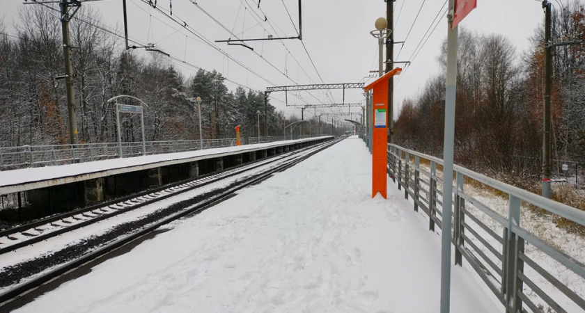 Для защиты жителей Юрьевца от шума грузовых поездов на станции поставили экран