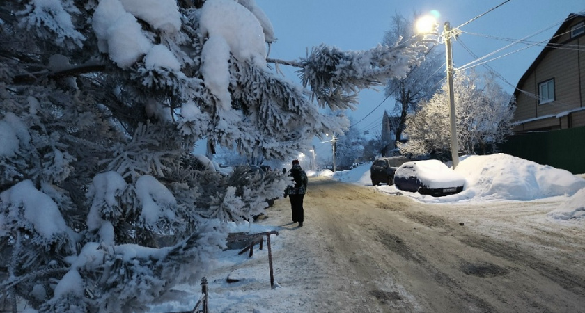 Русская зима вернётся в Центральную Россию в начале 2026 года: что обещают синоптики?