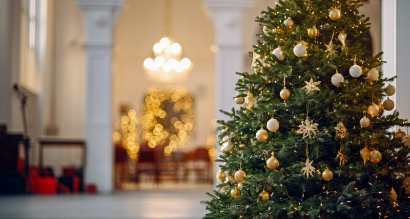 На Кремлёвскую ёлку отправятся 35 владимирских школьников