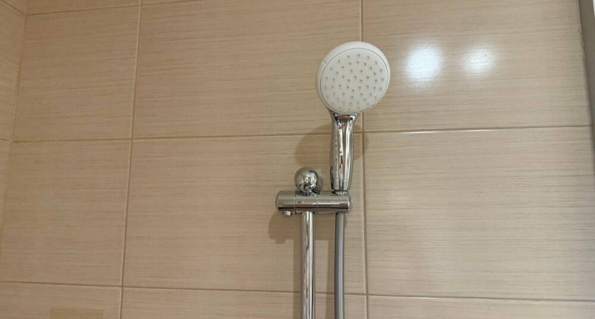 Душевая лейка будет сверкать от чистоты: простой способ избавиться от налетного камня