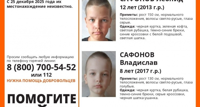 Во Владимирской области разыскивают двух пропавших братьев из Подмосковья
