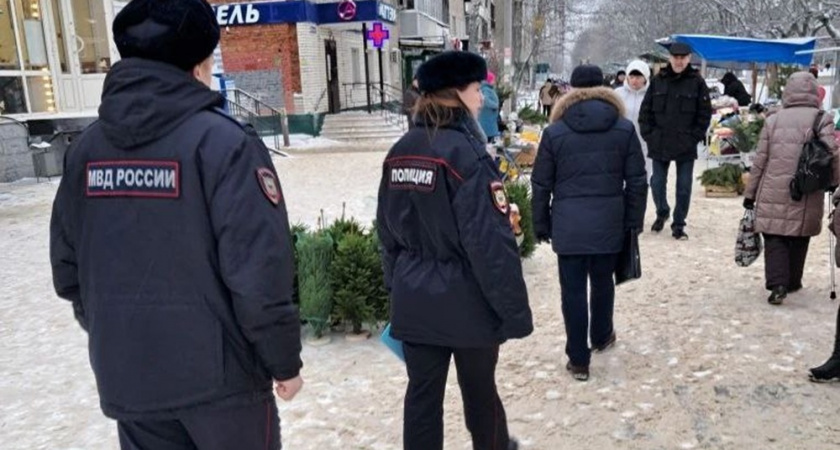 Во Владимире провели рейд по проверке елочных базаров
