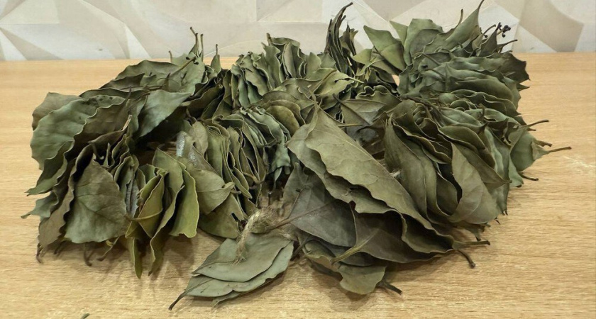 Зачем раньше клали лавровый лист в карман: секрет, о котором мало кто знает