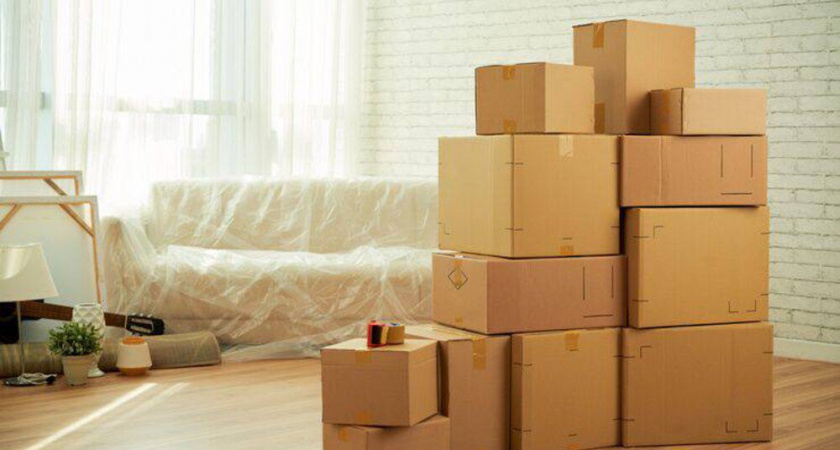 Не спешите нести коробки на помойку: 4 неочевидных способа использовать картон в огороде