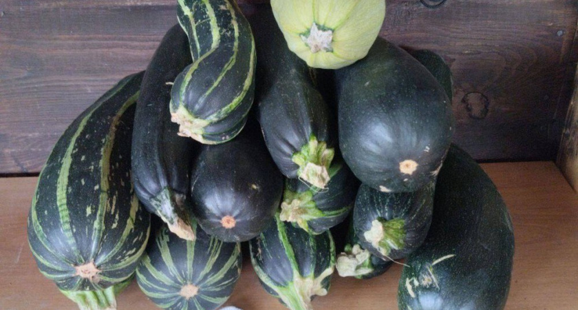 Чтобы картошка не проросла, а морковь не сгнила: мой рабочий план хранения урожая до весны