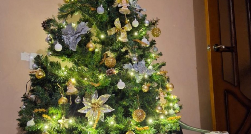 Что добавить в воду, чтобы ёлка стояла дольше: нашла рабочий способ 