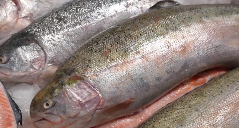 Честный обзор форели из "Светофора": что я купил для засолки икры и что из этого вышло