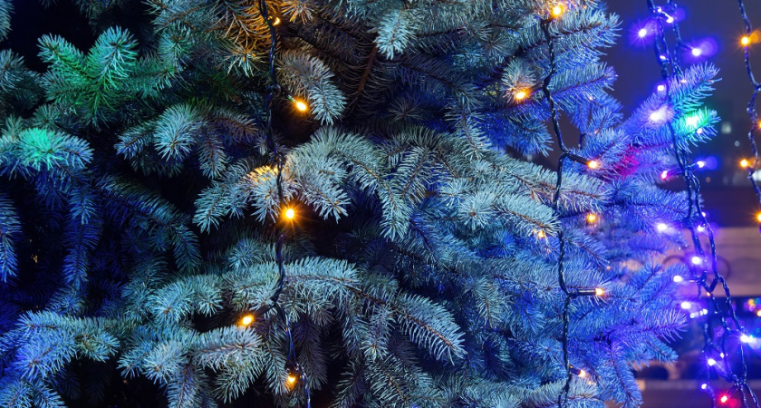 Моя искусственная елка теперь пахнет лесом - есть 4 лайфхака