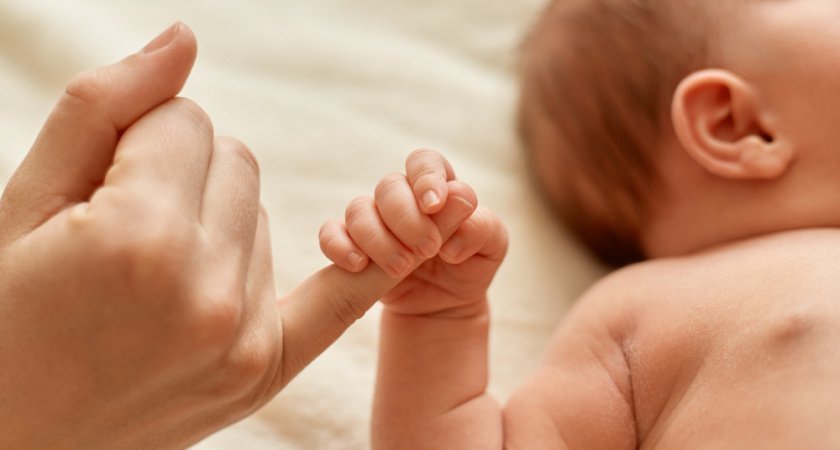 Во Владимире первыми новорожденными 2026 года стали Лев и Александра