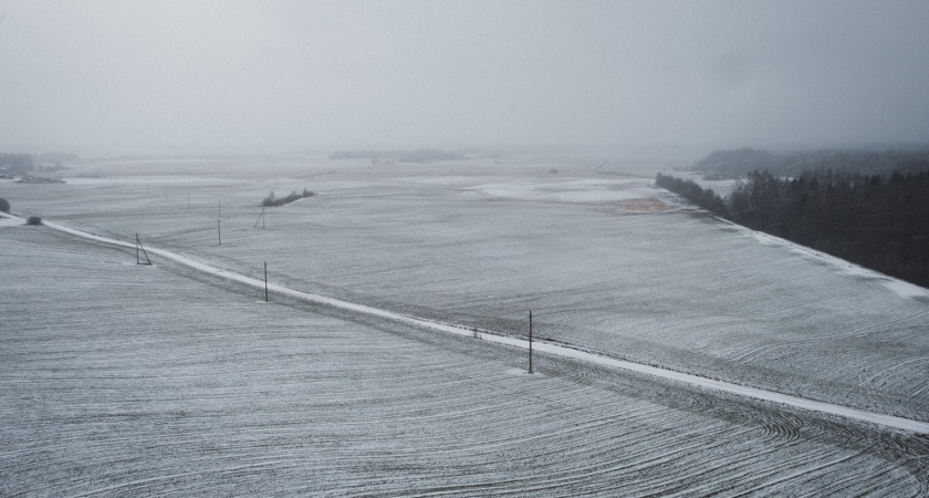 Метеорологи объявили штормовое предупреждение во Владимирской области