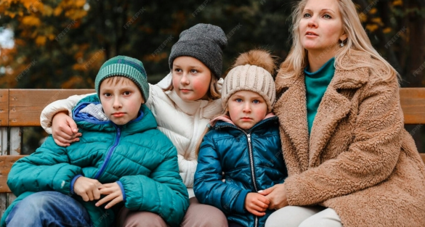 Прокуратура добилась пересчета пособия многодетной матери во Владимире
