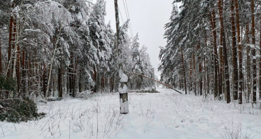 Во Владимирской области справились с циклоном «Фрэнсис» без введения режима ЧС