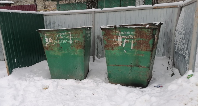 Площадки для мусора в Селивановском районе находятся в запущенном состоянии