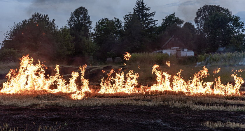 С начала года во Владимирской области произошло 61 возгорание