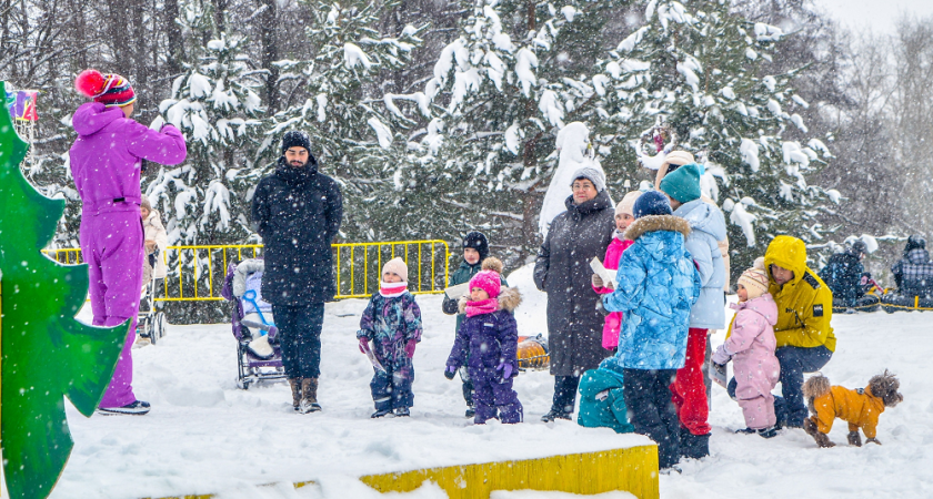 Во владимирском парке прошла программа для детей о зимующих птицах