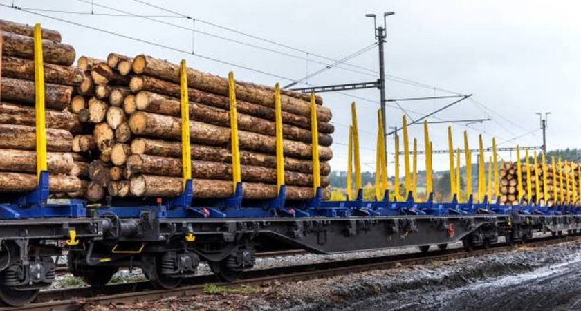 Россельхознадзор подтвердил безопасность владимирских лесоматериалов