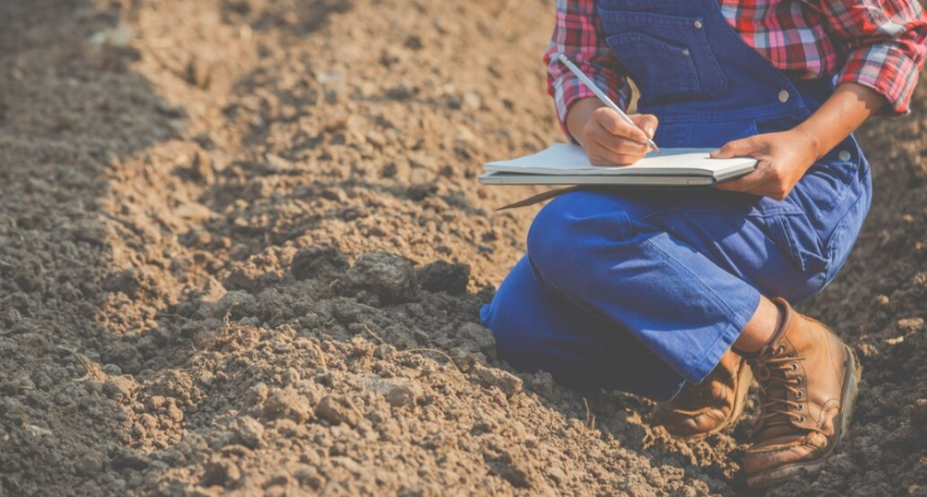 Во Владимирской области удалось ввести в оборот еще 133 га сельхозугодий