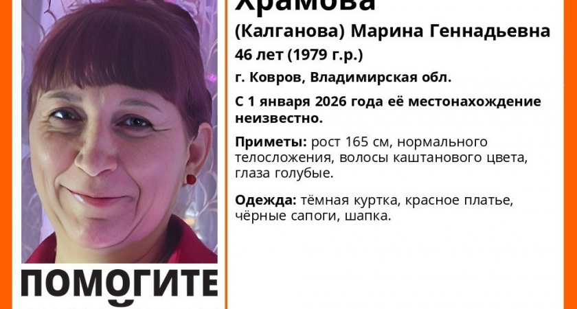 В Коврове на новогодних праздниках пропала местная жительница