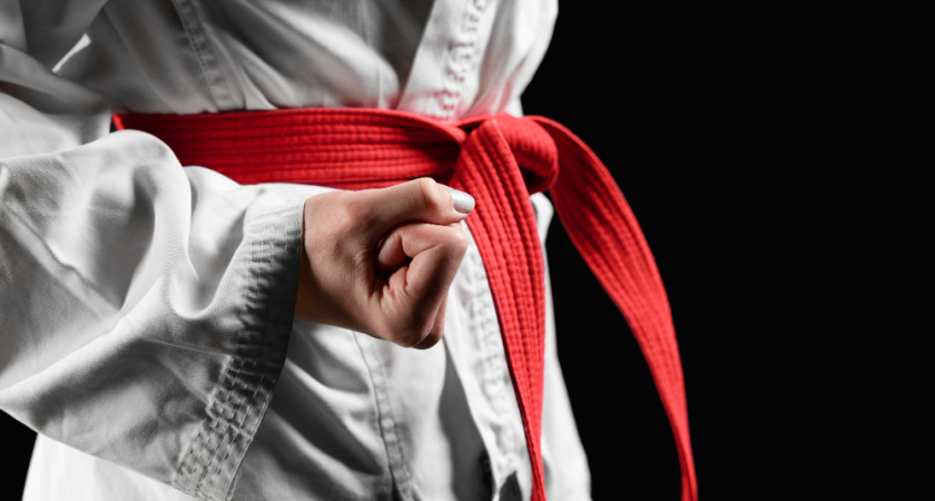 Более 80 владимирских тхэквондистов выступят на турнире «Белый лев» в Суздале