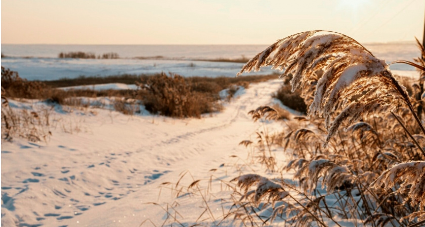 На нерадивых собственников земли во Владимирской области все чаще подают в суд