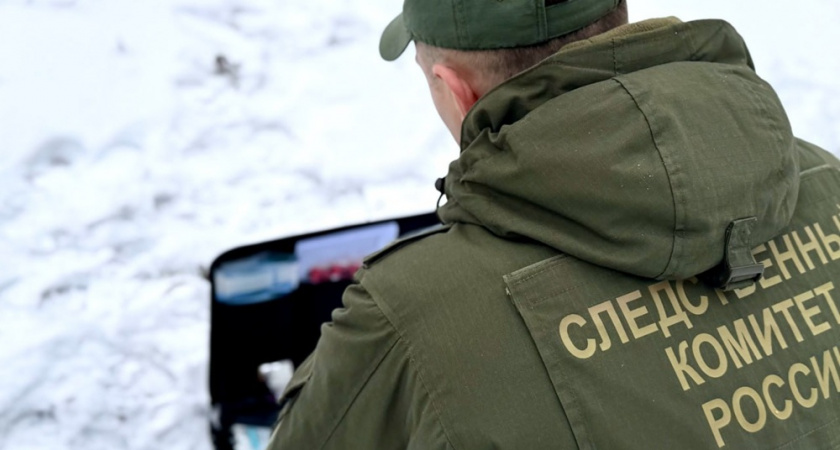 Раскрываемость преступлений во Владимирской области достигла рекордных значений