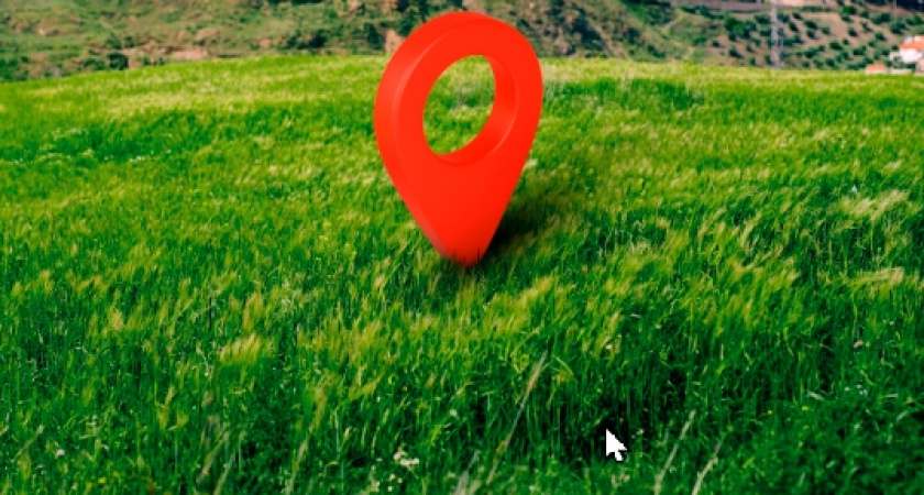 Собственники заросшей земли во Владимирской области поспешили оплатить половинные штрафы