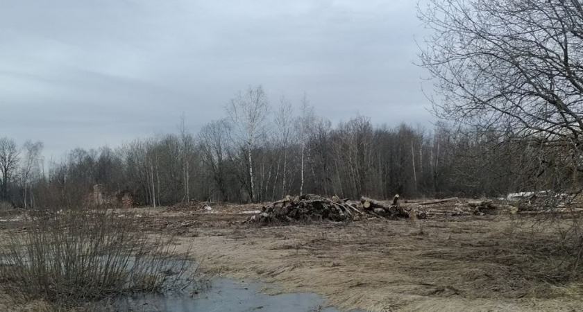 В Кольчугинском районе суд обязал фермера убрать несанкционированную свалку