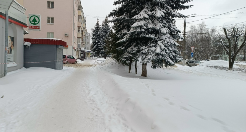 "Зимы больше не будут такими, как прежде": что ждёт Россию в ближайшие годы - прогноз Романа Вильфанда