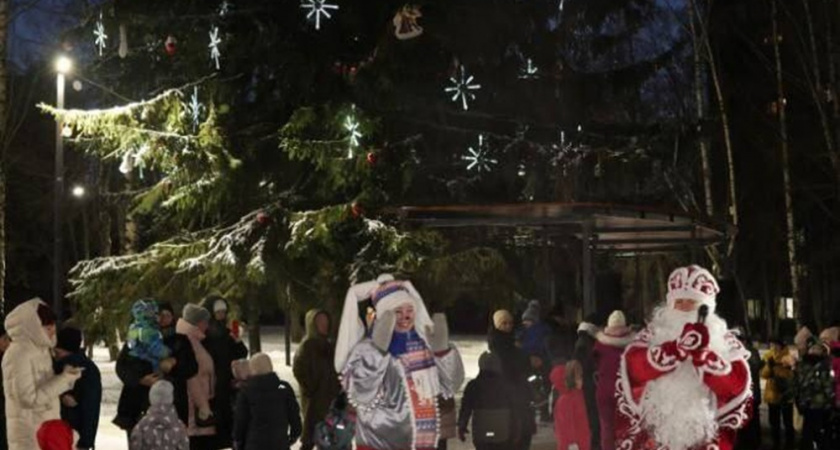 Владимирская елка с бульвара Художника Иванова вошла в топ-5 страны