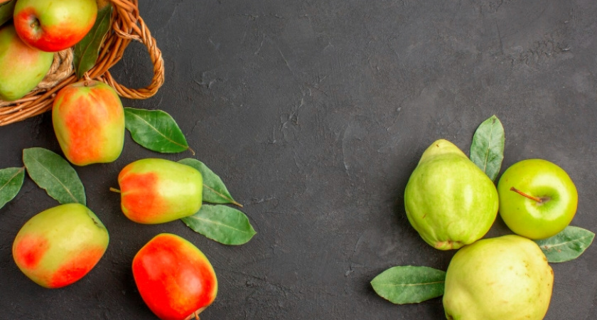 На выставочных площадках Владимира выявлено 24 несуществующих сорта саженцев плодово-ягодных культур